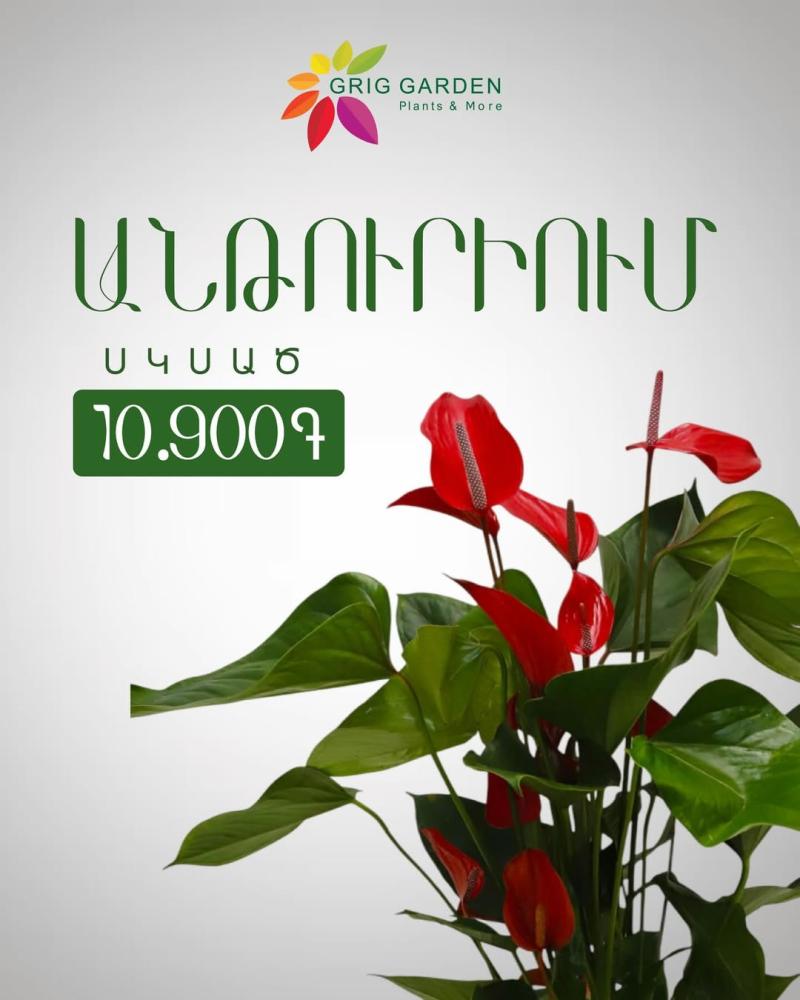 գրիգ գարդեն լանդշաֆտների դիզայն եվ նախագծում